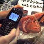 Fish Phone: text a fish while shopping or dining